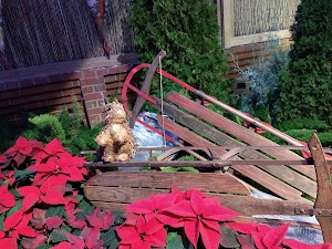 Phipps Conservatory and Botanical Gardens - photo 86