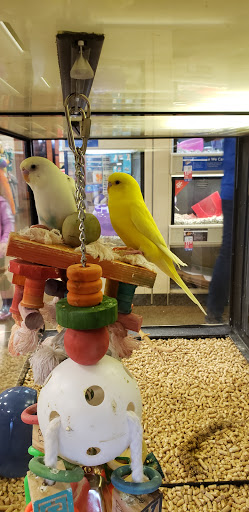 Pet Supply Store «PetSmart», reviews and photos, 1451 Dallas Hwy, Waxahachie, TX 75165, USA