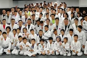 Taiwan Brazilian Jiu-jitsu Academy image