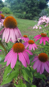 Fredericksburg Center for the Creative Arts - Photo 7 - Car repair in Fredericksburg, VA, Fredericksburg