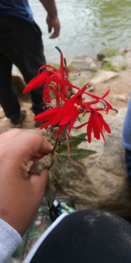 Park «Garrard Landing Park», reviews and photos, 8000 Holcomb Bridge Rd, Alpharetta, GA 30022, USA