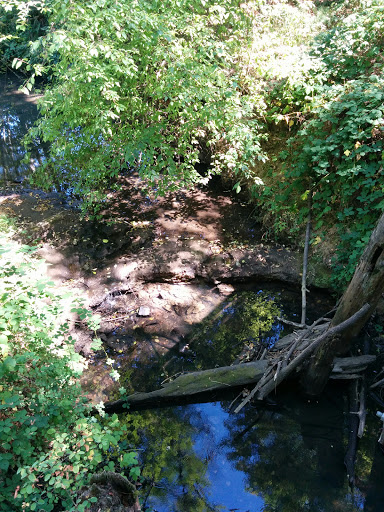 Park «Vista Brook Park», reviews and photos, 6697 SW 88th Ave, Portland, OR 97223, USA