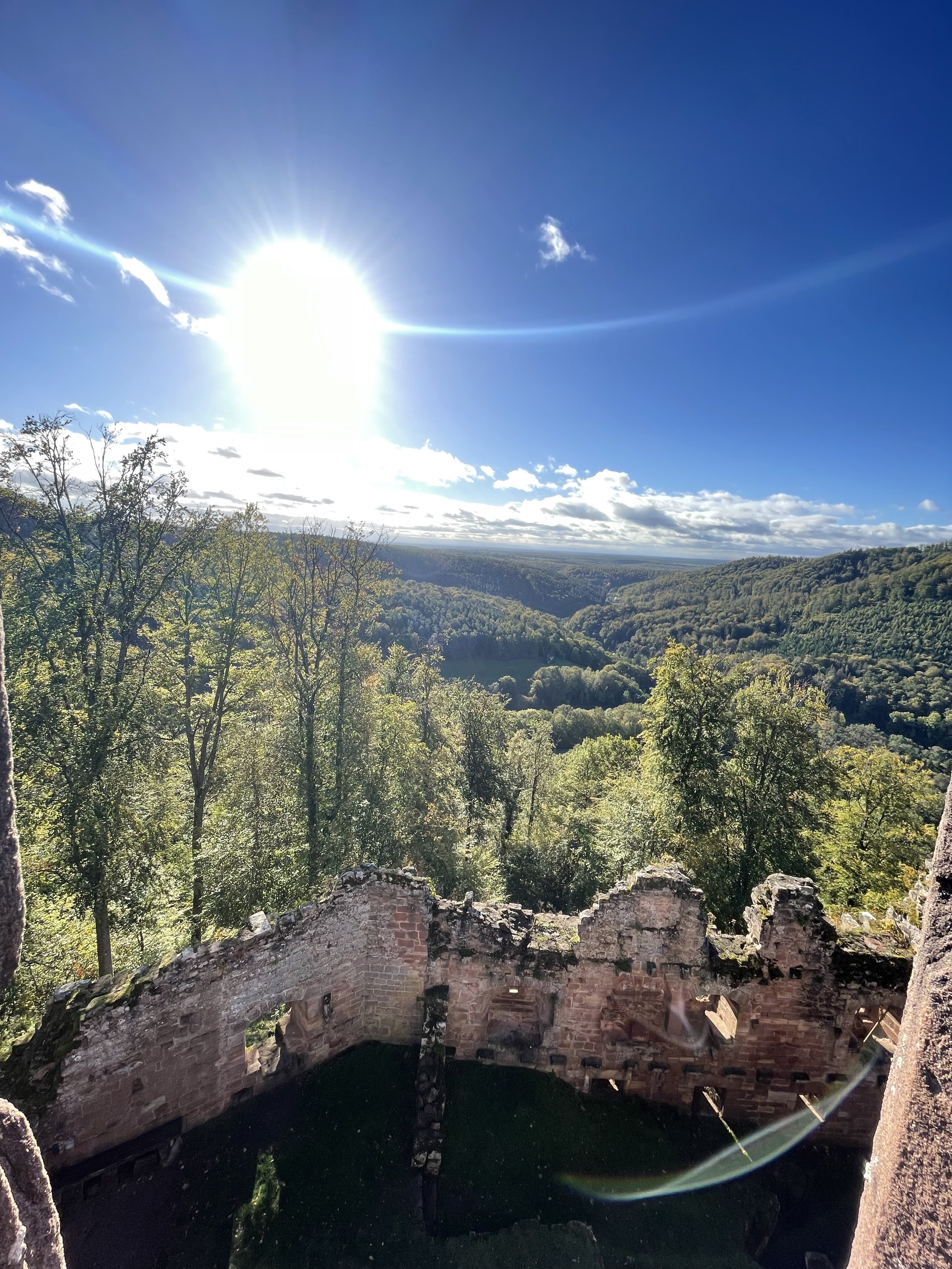 Photo n° 1 de l'avis de Chloé. fait le 25/10/2023 à 21:31