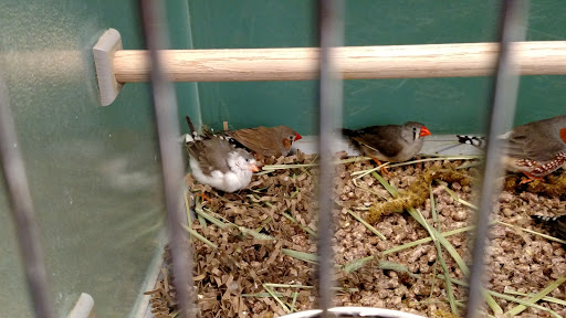 Pet Supply Store «Pet Supplies Plus», reviews and photos, 2424 W State St, Alliance, OH 44601, USA