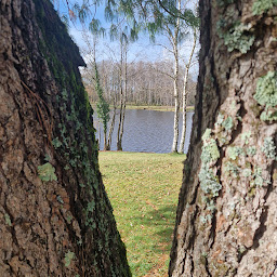 Photo n°9 de lac de Saint Mathieu à Saint-Mathieu ()