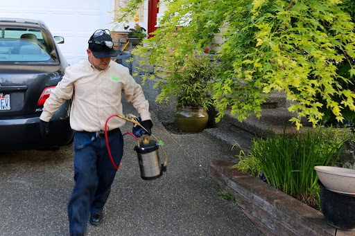 Pest Control Service «Croach», reviews and photos