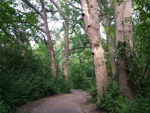 Public Golf Course «Eagle Valley Golf Course», reviews and photos, 2600 Double Eagle Ln, Woodbury, MN 55129, USA