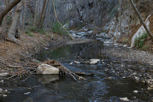 Gould Mesa trailhead