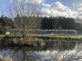Pond View Kennels