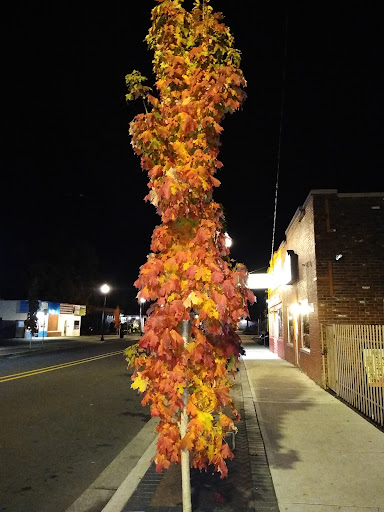 Department Store «Coastal Farm & Ranch», reviews and photos, 1550 Mt Hood Ave, Woodburn, OR 97071, USA