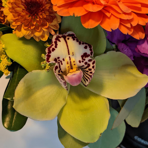 Florist «Steuber/Mt Greenwood Florist & Greenhouses», reviews and photos, 2654 W 111th St, Chicago, IL 60655, USA