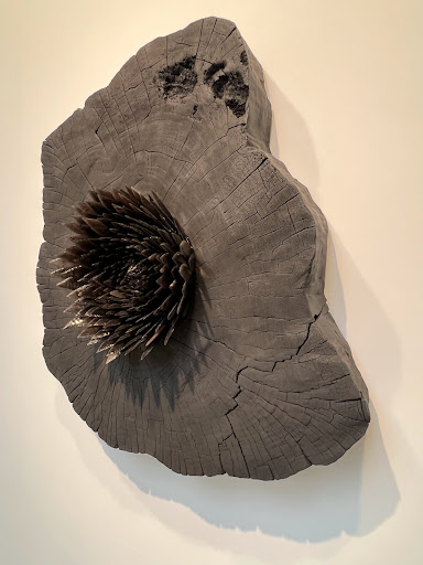 Art Gallery «Tanya Bonakdar Gallery», reviews and photos, 521 W 21st St #1, New York, NY 10011, USA