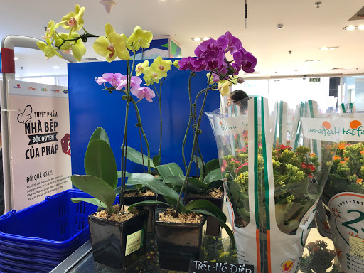 Top 20 chuỗi cửa hàng r&b Huyện Chợ Gạo Tiền Giang 2022