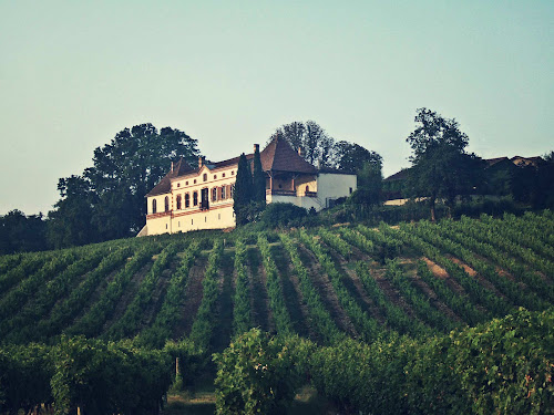 Chateau Labastidié - Grand Terroir des Echansons de France à Florentin