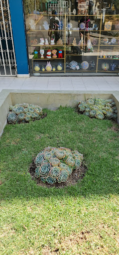 Centro jardineria La Paz