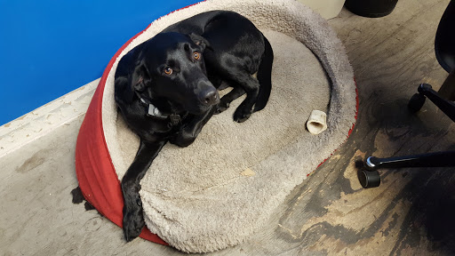 Bicycle Store «Tryon Bike», reviews and photos, 80 Rockwood Pl Suite 112, Rochester, NY 14610, USA