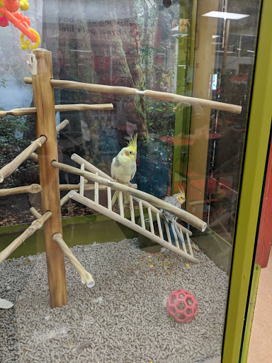 Pet Supply Store «Petco Animal Supplies», reviews and photos, 901 W Indiantown Rd #30, Jupiter, FL 33458, USA