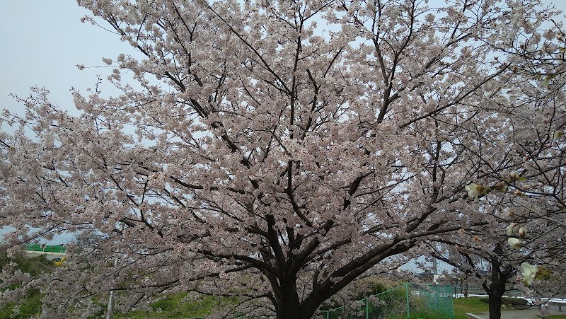 板原三角公園