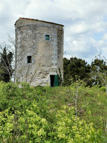 Moulin de la Côte à Le Château-d'Oléron