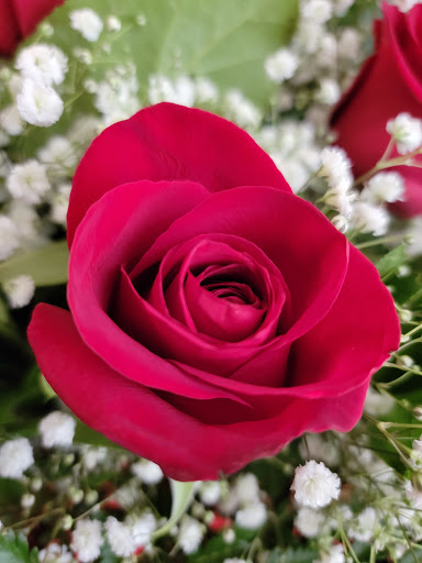 Florist «Ron & Alicia Robinson Florist», reviews and photos, 3323 Workman Mill Rd Suite B, Whittier, CA 90601, USA