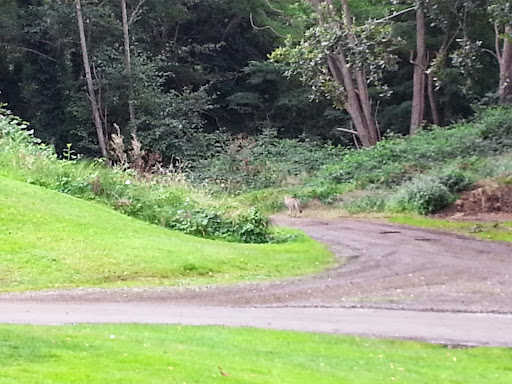 Park «West Seattle Golf Course», reviews and photos, 4600 35th Ave SW, Seattle, WA 98126, USA