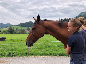 Osteopathie für Tiere Felicitas Fehlmann