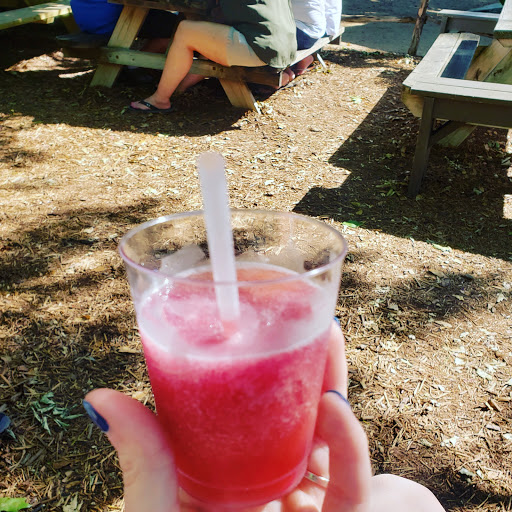 Gift Shop «The Grapevine», reviews and photos, 1612 Hunter Rd, New Braunfels, TX 78130, USA