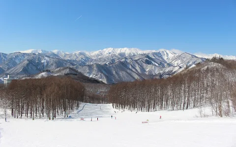 Minakami Kogen Ski Resort image