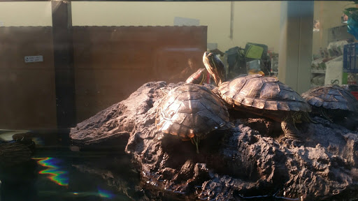 Pet Supply Store «Petco Animal Supplies», reviews and photos, 1820a W Uintah St, Colorado Springs, CO 80904, USA