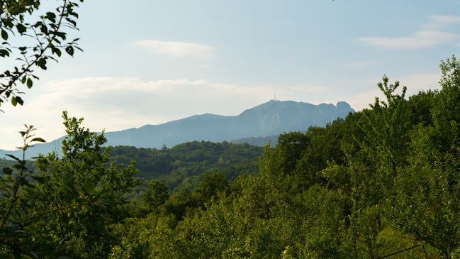 Sat. Sălătrucel(Com, Str. Valea Bodi Nr. 46, Sălătrucel 247585, România