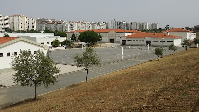 Escola Básica João Roiz - Castelo Branco