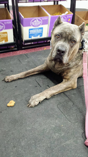 Pet Supply Store «Western Pet Supply», reviews and photos, 6908 SW Beaverton Hillsdale Hwy, Portland, OR 97225, USA