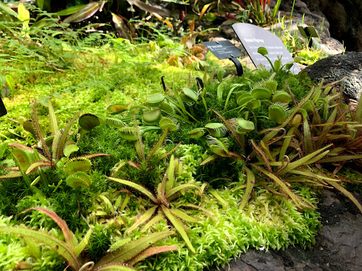 Gift Shop «Meijer Gardens Gift Shop», reviews and photos, 1000 E Beltline Ave NE, Grand Rapids, MI 49525, USA