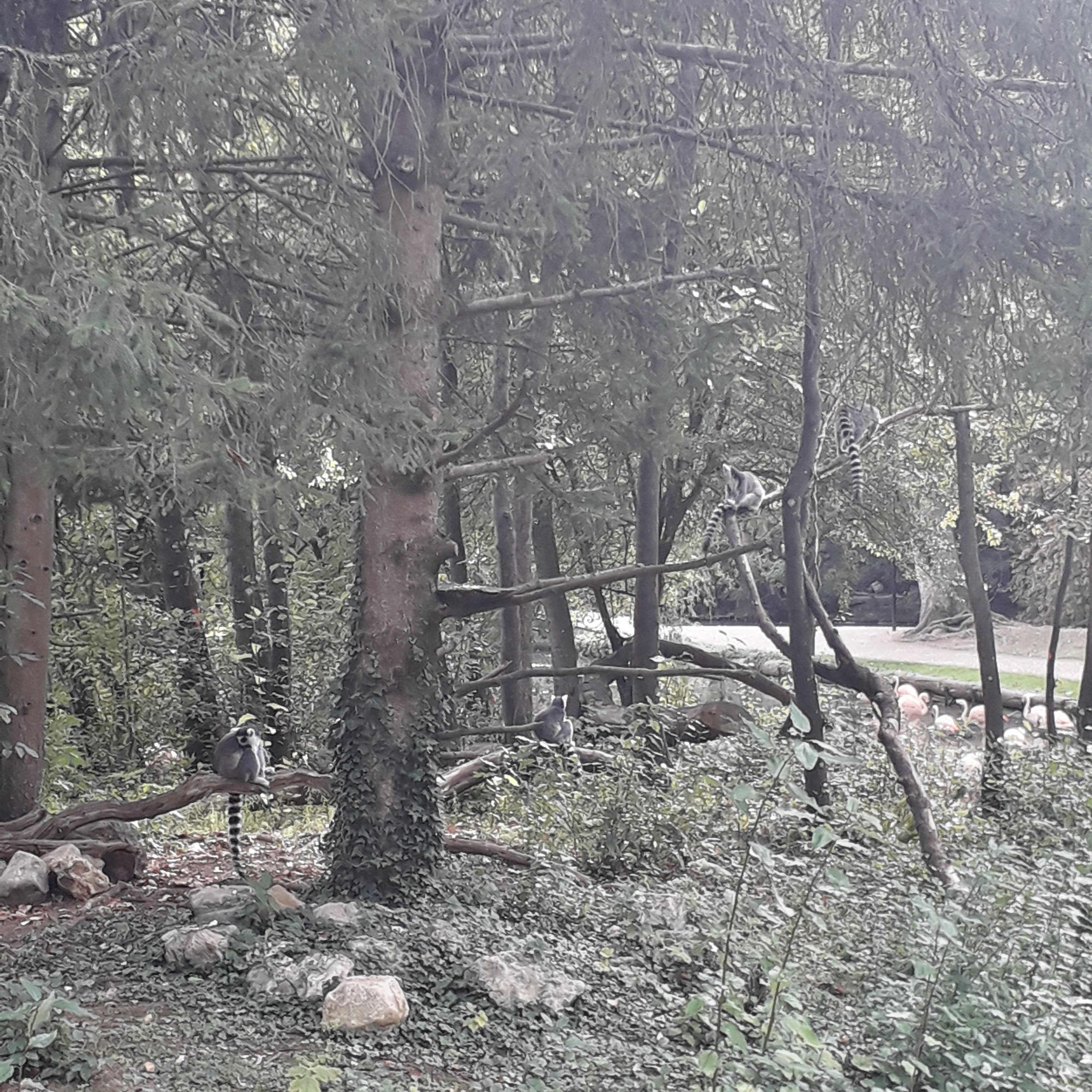 Photo n° 23 de l'avis de lilou.i fait le 19/09/2020 à 16:48