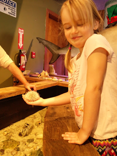 Aquarium «The River Center», reviews and photos, 805 US-1, Jupiter, FL 33477, USA