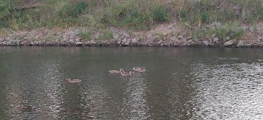Park «South Platte Park and Carson Nature Center», reviews and photos, 3000 W Carson Dr, Littleton, CO 80120, USA