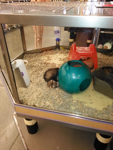 Pet Supply Store «Petco Animal Supplies», reviews and photos, 9350 US 49 a, Gulfport, MS 39503, USA