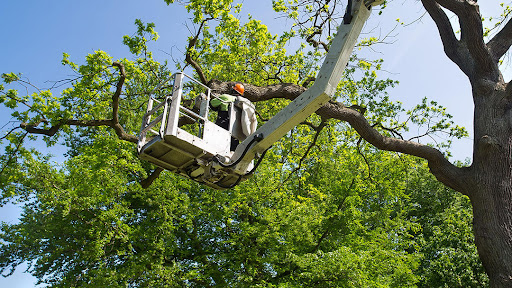 God's Way Tree Service