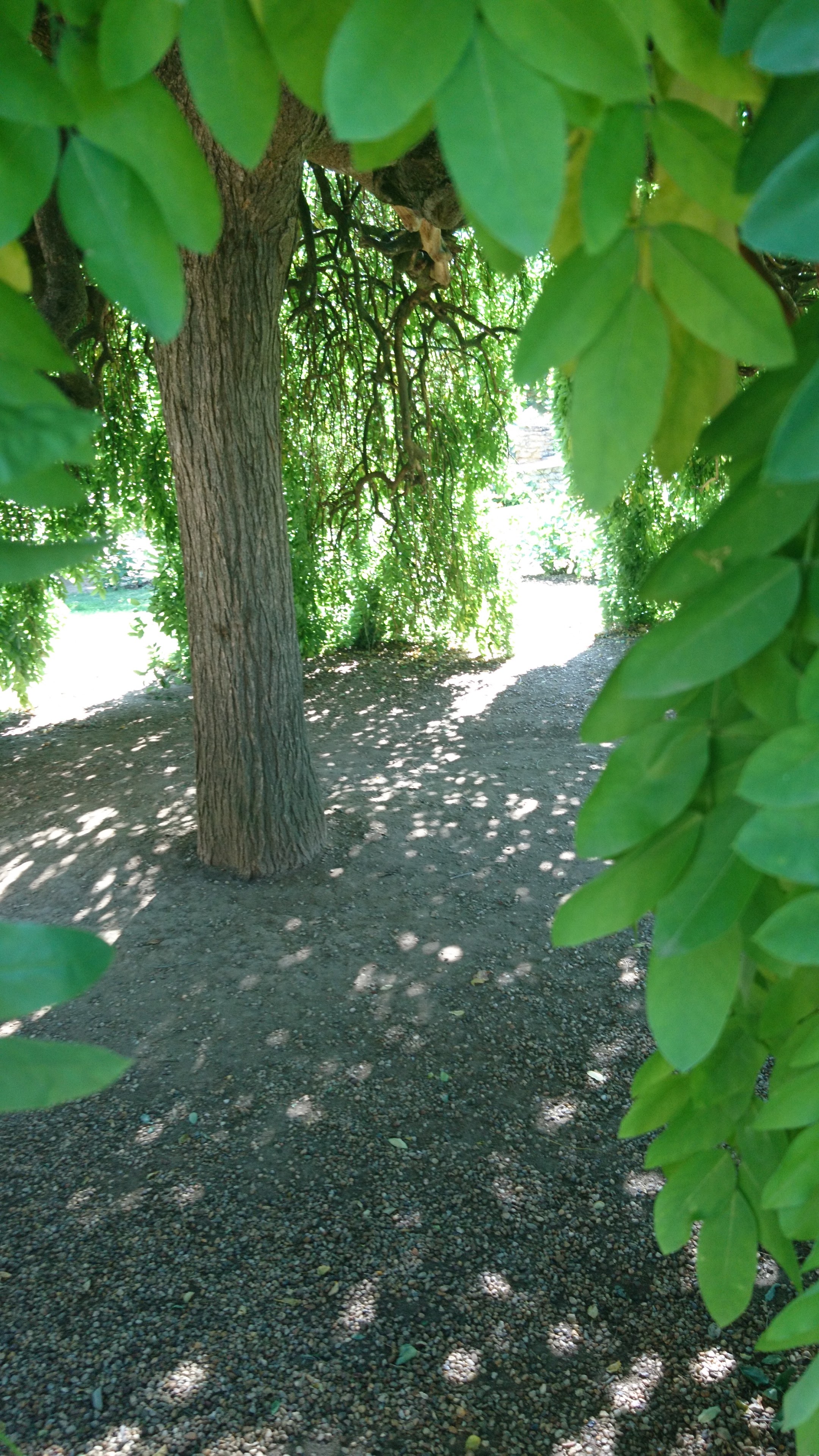Photo n° 17 de l'avis de david.o fait le 23/08/2019 à 15:25