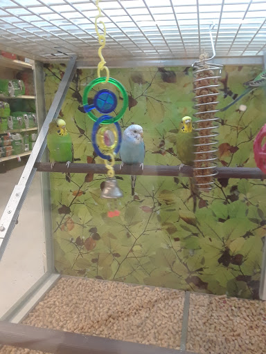 Pet Supply Store «PetSmart», reviews and photos, 1900 W International Speedway Blvd, Daytona Beach, FL 32114, USA