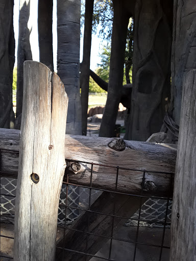 Transit Stop «Dallas Zoo Station», reviews and photos, 614 S. Ewing Avenue, Dallas, TX 75203, USA