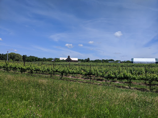 Vineyard «Vermilion Valley Vineyards», reviews and photos, 11005 Gore Orphanage Rd, Wakeman, OH 44889, USA