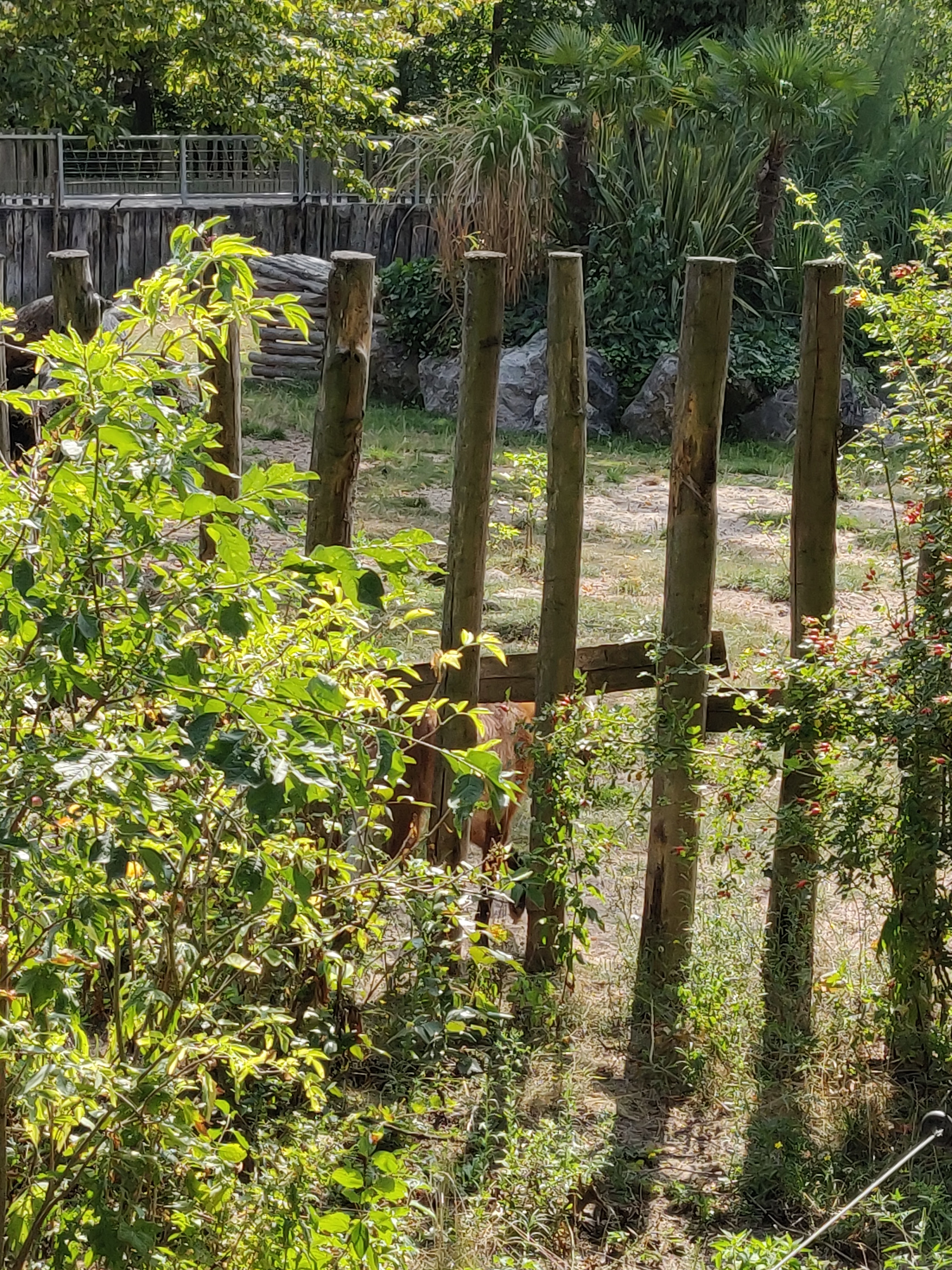 Photo n° 45 de l'avis de Amélie.e fait le 31/08/2019 à 17:39