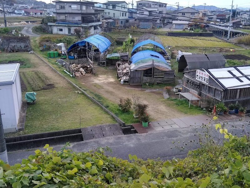 丸安野菜園（農薬・化学肥料無使用）