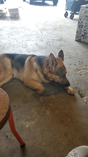 Pet Supply Store «Petco Animal Supplies», reviews and photos, 2242 N Richmond Rd, McHenry, IL 60051, USA