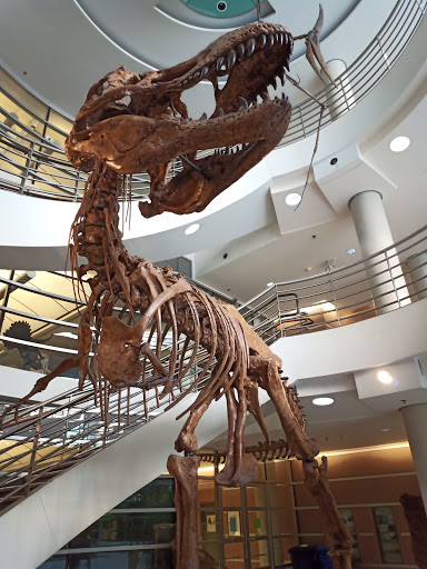 Natural History Museum «Museum of Paleontology», reviews and photos, 1101 Valley Life Sciences Bldg, Berkeley, CA 94720, USA