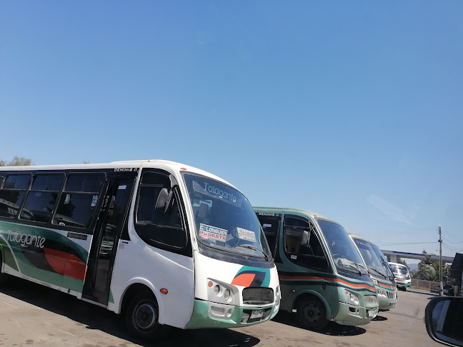 Opiniones de Buses Talagante en Talagante - Servicio de transporte