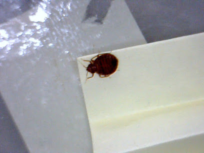 EZ Bed Bug Exterminator NJ