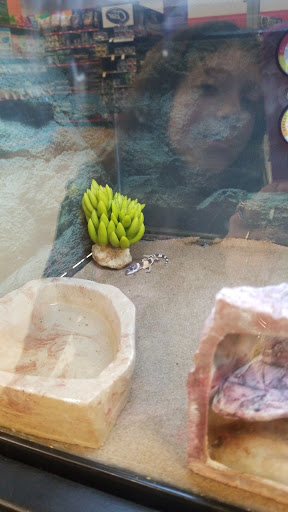 Pet Supply Store «Petco Animal Supplies», reviews and photos, 473 State Rd, North Dartmouth, MA 02747, USA