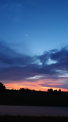 Ice Cream Shop «Great Licks Ice Cream Shop», reviews and photos, 4643 Pine Island Rd, Matlacha, FL 33993, USA